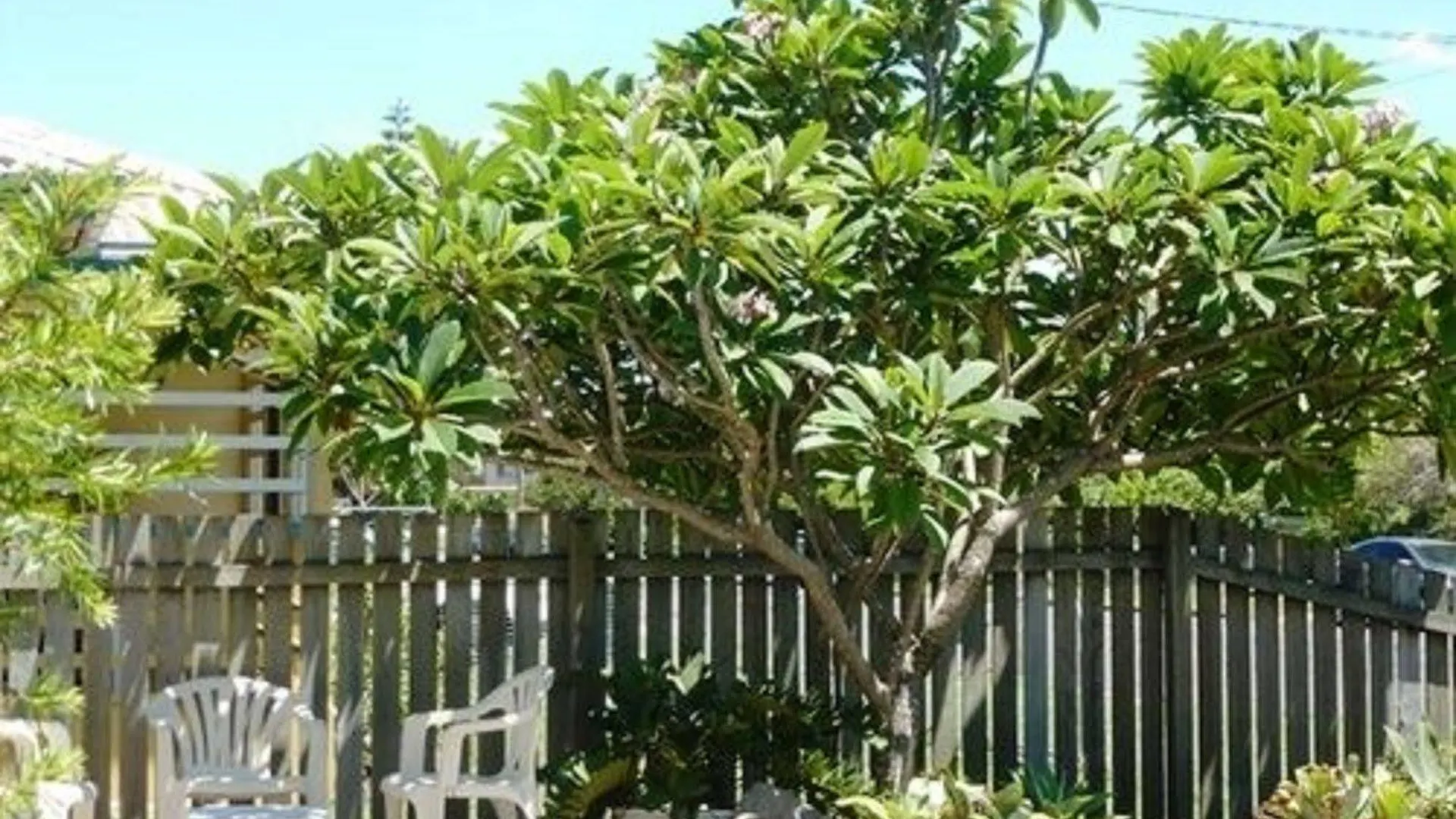 Twin Pines Motel Mooloolaba